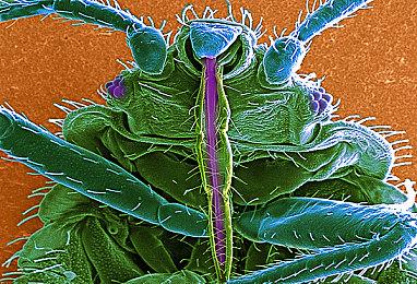 《勇气默示录》系列开发商今年将宣布和发售多款游戏